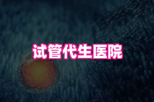 swisee孕网 1