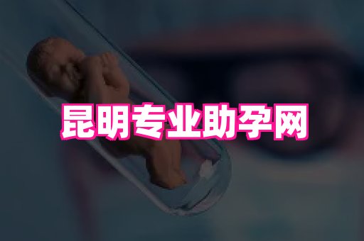 swisee孕网 3