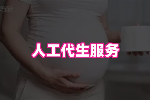 swisee孕网 4